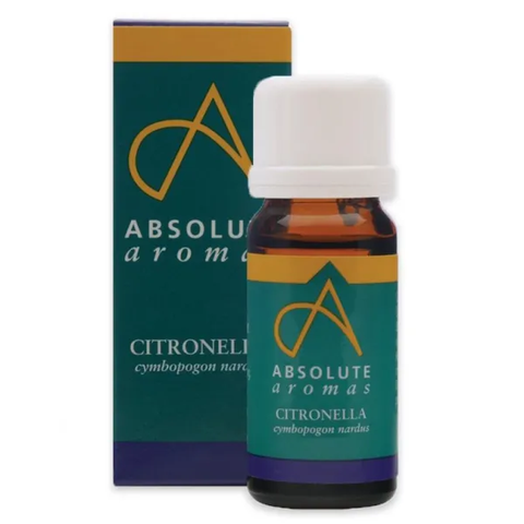 Absolute Aromas Citronella Oil 10ml (Pack of 12)