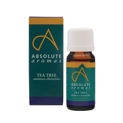 Absolute Aromas Tea Tree Oil 10ml (Pack of 12)