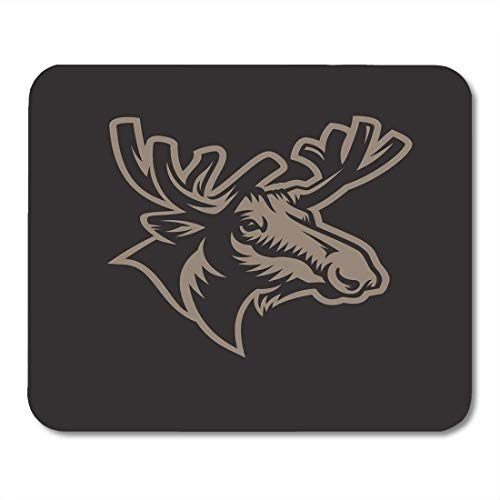 Amisa Organic Brown Rice Flour 500g