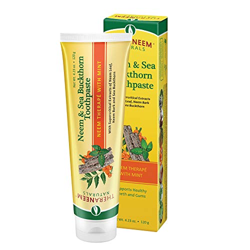Theraneem Neem & Sea Buckthorn Toothpaste Mint 125ml