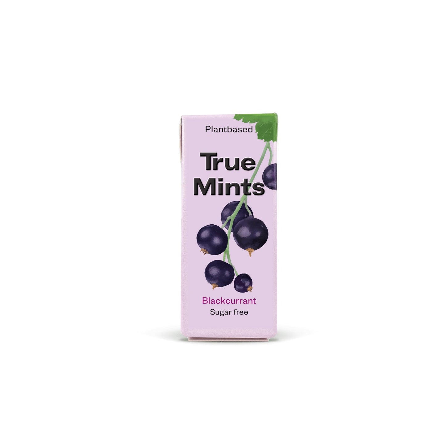 True Mints Blackcurrant 13g (Pack of 18)