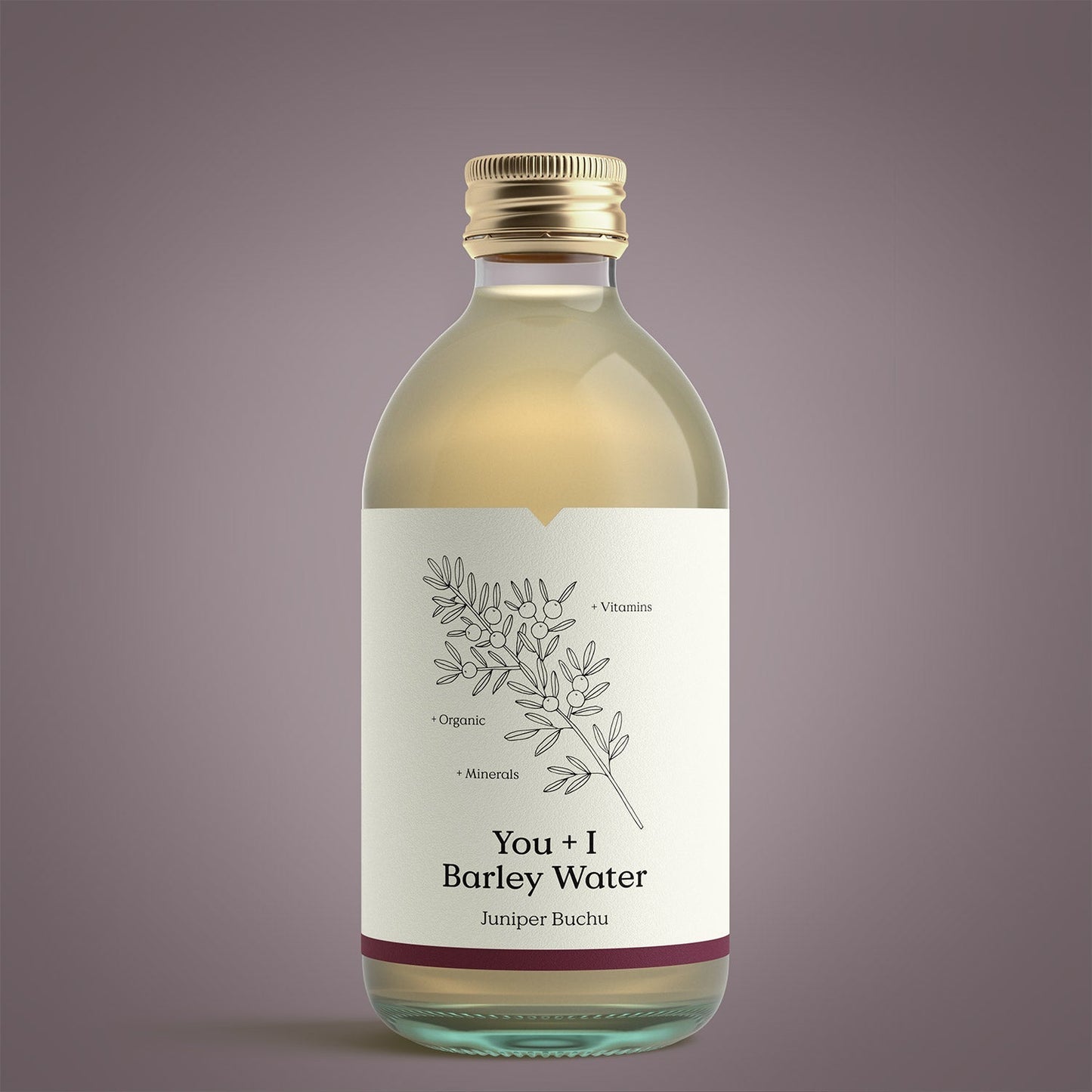 You + I Barley Water Juniper Buchu 330ml (Pack of 12)