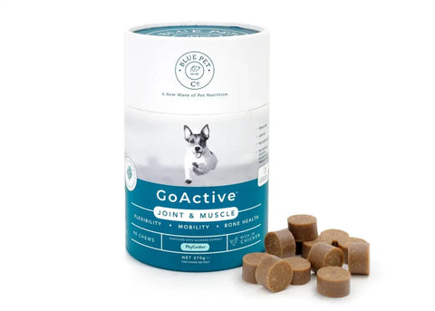 Blue Pet Co GoActive Chicken Muscle Bone & Joint Supplements 270g (Pack of 24)