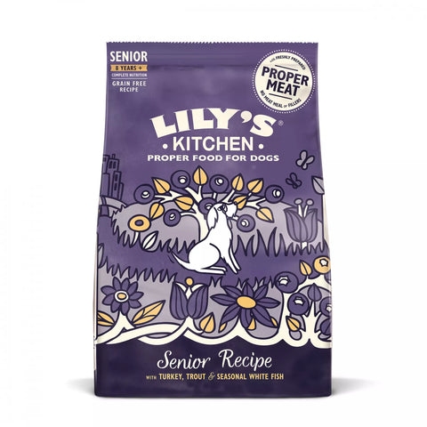Lily's Kitchen Adult 8+ Salmon & Trout Dry 1000g (Pack of 4)