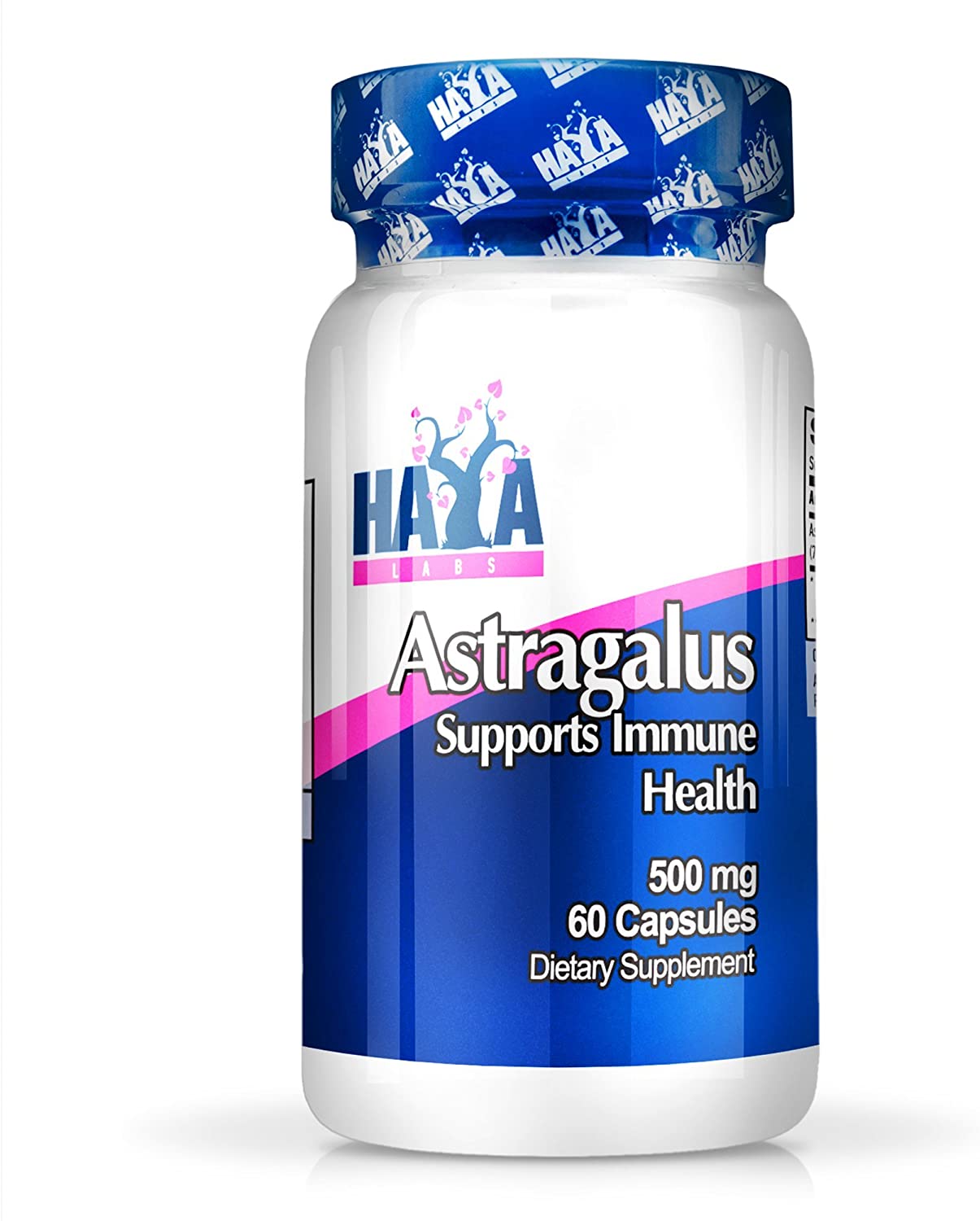Haya Labs Astragalus, 500mg - 60 caps