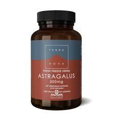 Terranova Astragalus 500mg (fresh freeze dried) 100's