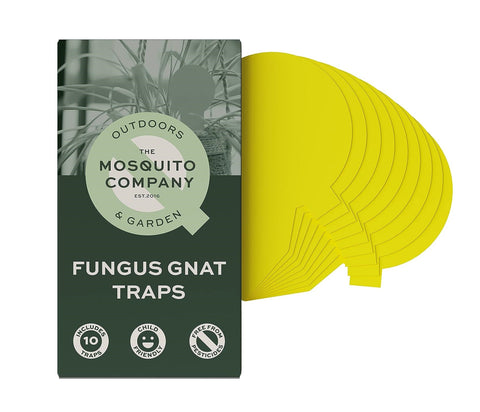 The Mosquito Company Fungus Gnat Sticky Traps 50g (Pack of 30)