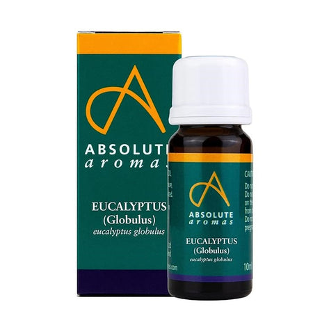 Absolute Aromas Eucalyptus Globulus Oil 10ml (Pack of 12)