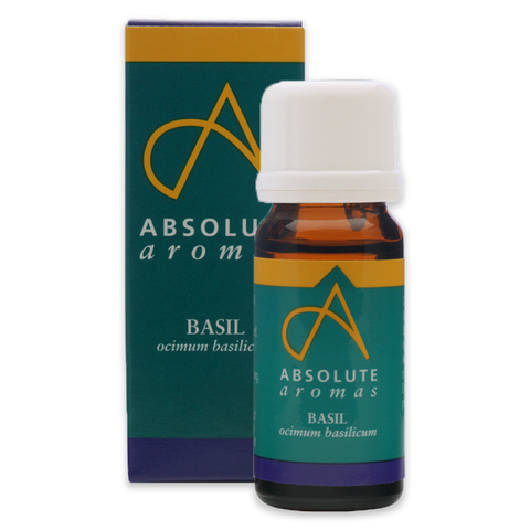 Absolute Aromas Basil Oil 10ml (Pack of 12)