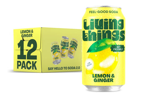 Living Things Lemon & Ginger Soda 330ml (Pack of 12)