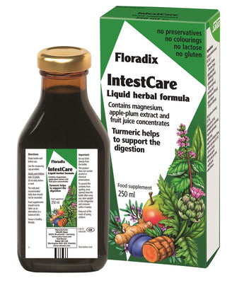 Floradix Intestcare 250Ml