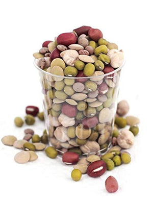 Aconbury Organic Mixed Beans/Pulses for Sprouting 500g