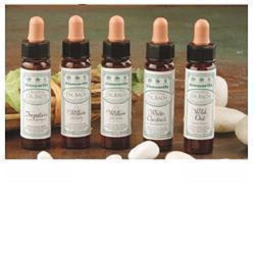 Ainsworth Star of Bethlehem 10ml