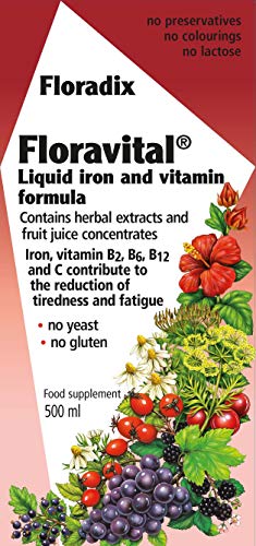 Floradix Floravital Liquid Iron and Vitamin Formula 500ml