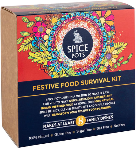 Spice Pots Festive Food Survival Kit 40g (Pack of 4)