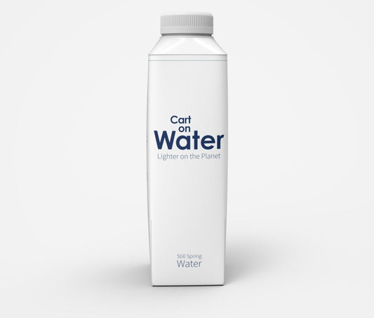 Water Works Carton Water 500ml (Pack of 48)