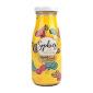 Sophies Iced Coffee Hazelnut & Coconut Iced Coffee Blend 280ml (Pack of 24)
