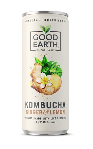 Good Earth Ginger Kombucha - Can 250ml (Pack of 12)