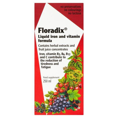 Salus Floradix Kids Iron & Vitamin Formula 250ml