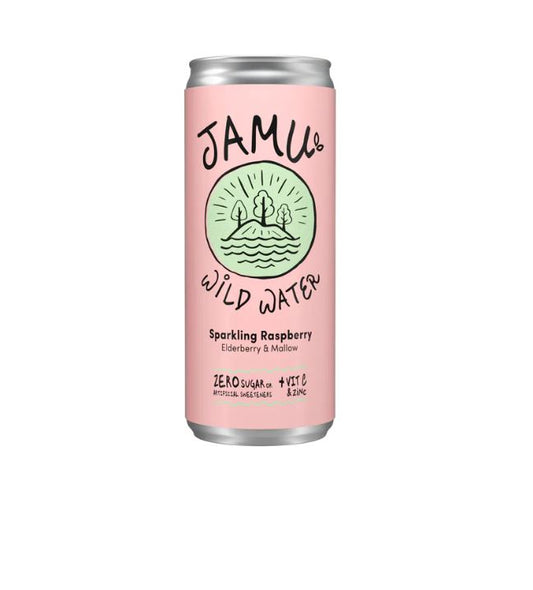 Jamu Wild Water Natural Sparkling Raspberry Water 250ml (Pack of 12)