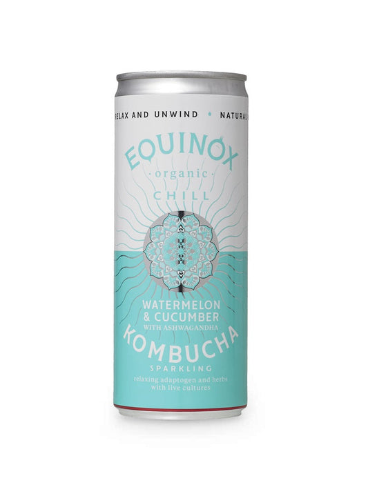 Equinox Chill Kombucha Organic 200ml (Pack of 24)