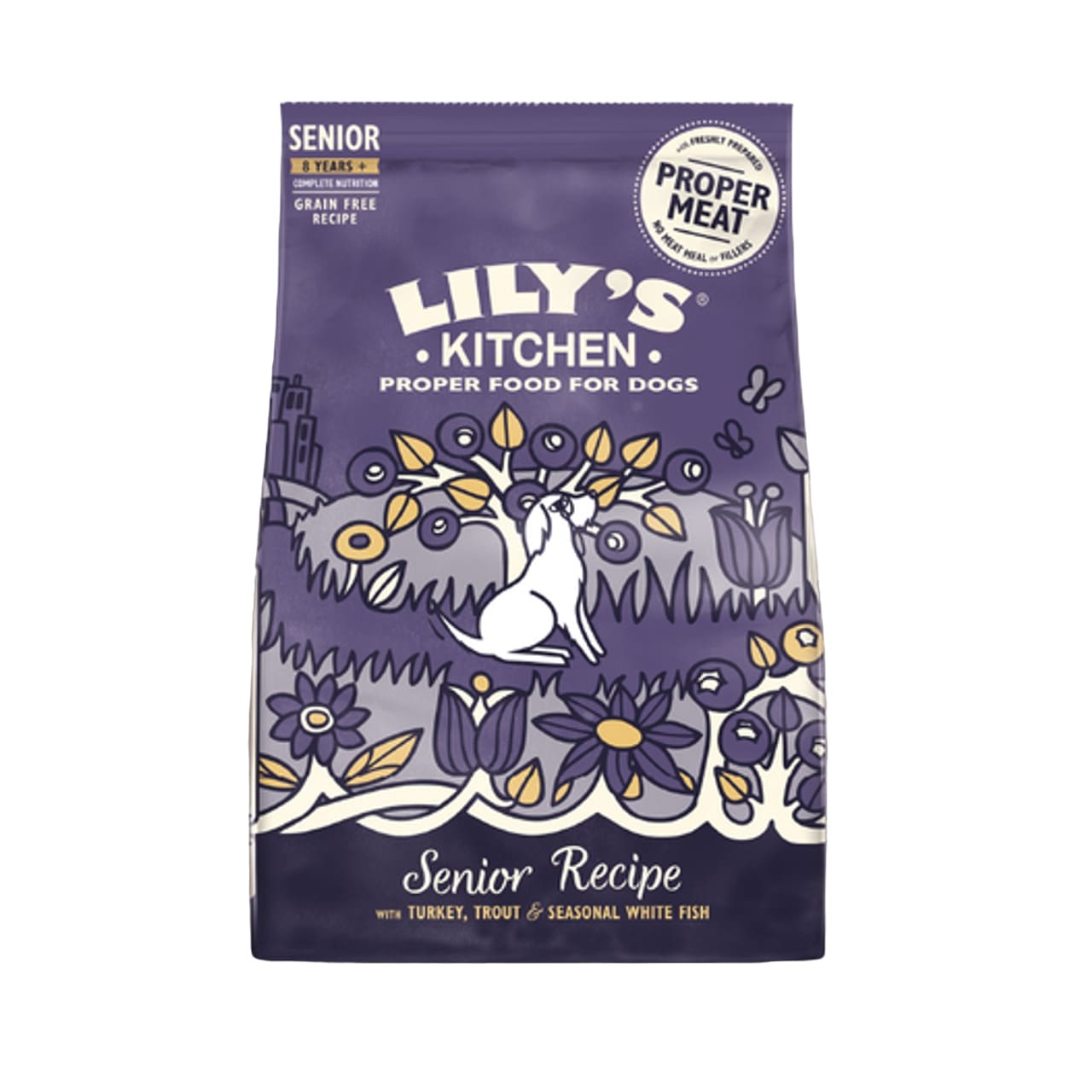 Lily's Kitchen Adult 8+ Salmon & Trout Dry 2.5kg (Pack of 4)