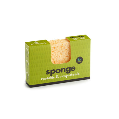 Ecoliving Sponge - Compostable (Pack of 30)