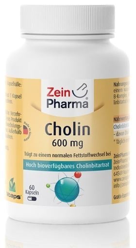 Zein Pharma Choline, 600mg - 60 caps