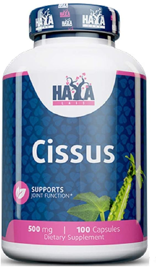 Haya Labs Cissus, 500mg - 100 caps