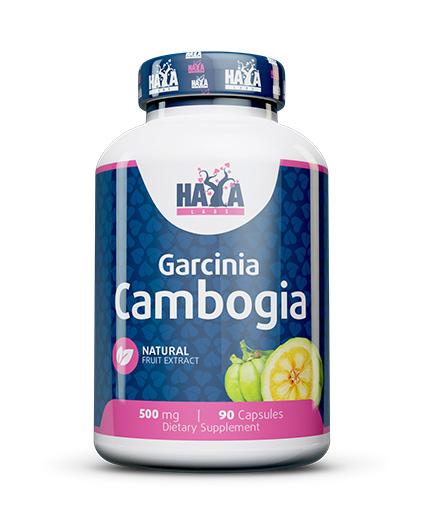 Haya Labs Garcinia Cambogia, 500mg - 90 caps