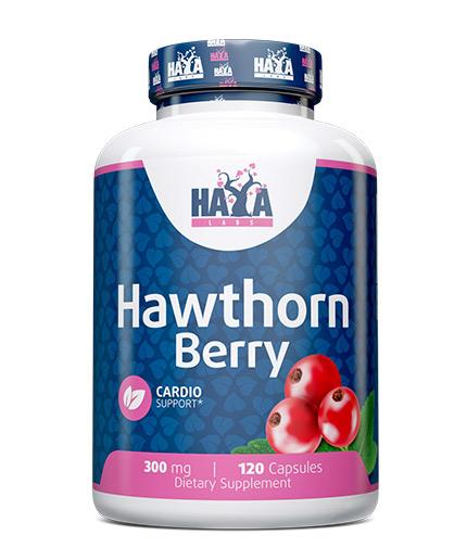 Haya Labs Hawthorn Berry, 300mg - 120 caps