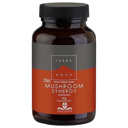 Terranova Mushroom Synergy Super-Blend Powder 40gms