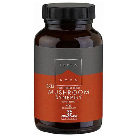 Terranova Mushroom Synergy Super-Blend Powder 40gms