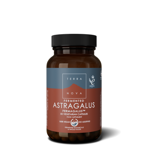 Terranova Fermented Astragalus 50's (Fermagalus) 50's